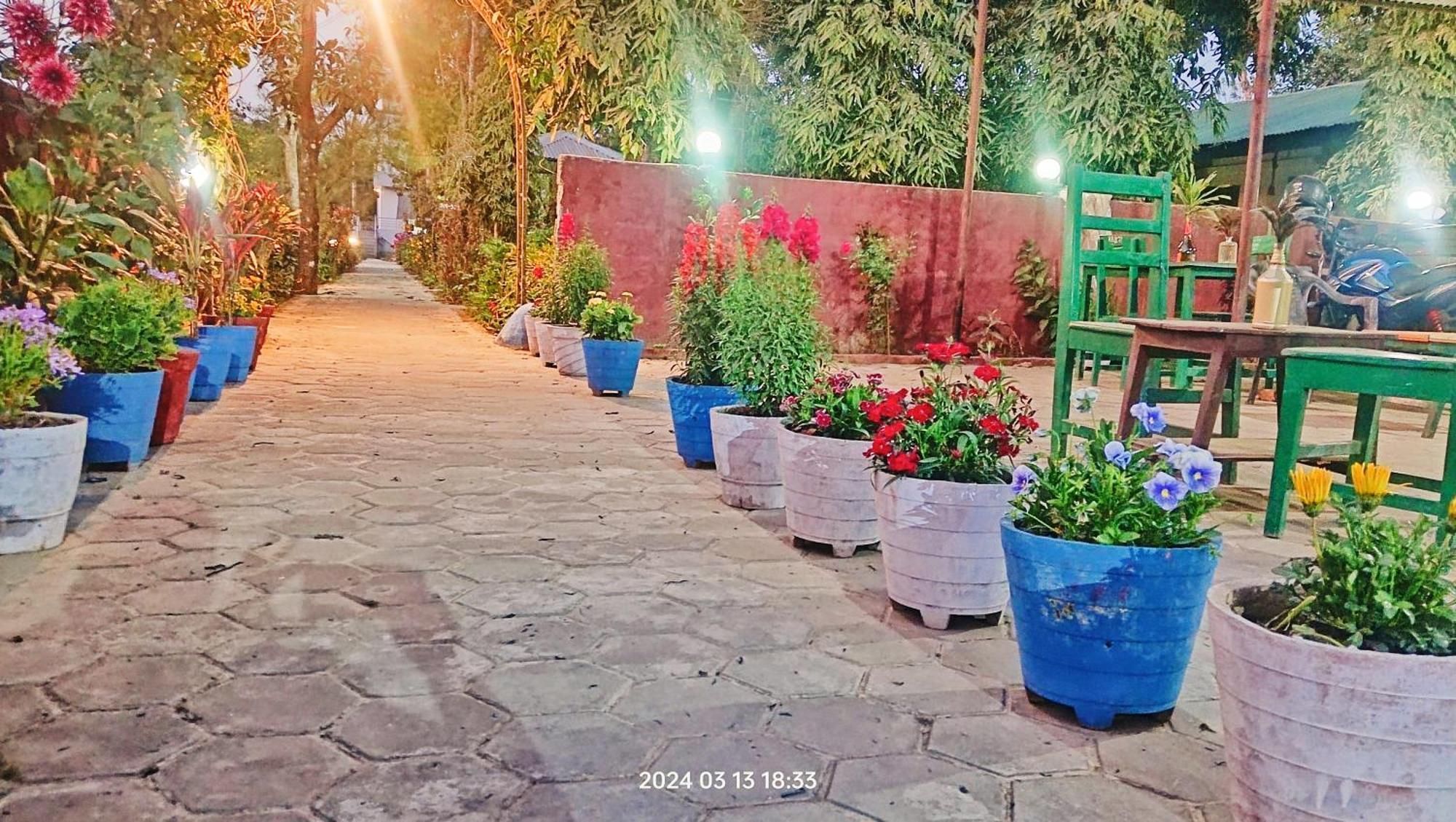 Hotel Butterfly - Peaceful Garden For Nature Lovers Sauraha Esterno foto