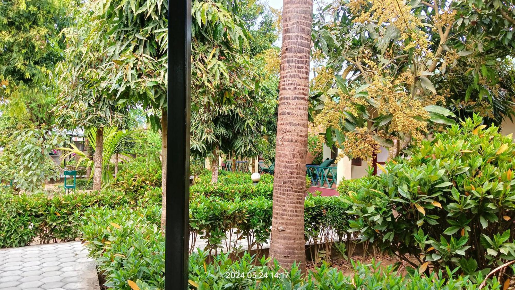 Hotel Butterfly - Peaceful Garden For Nature Lovers Sauraha Esterno foto