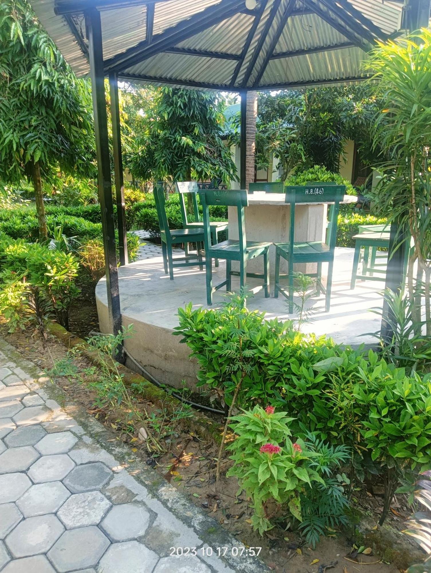 Hotel Butterfly - Peaceful Garden For Nature Lovers Sauraha Esterno foto