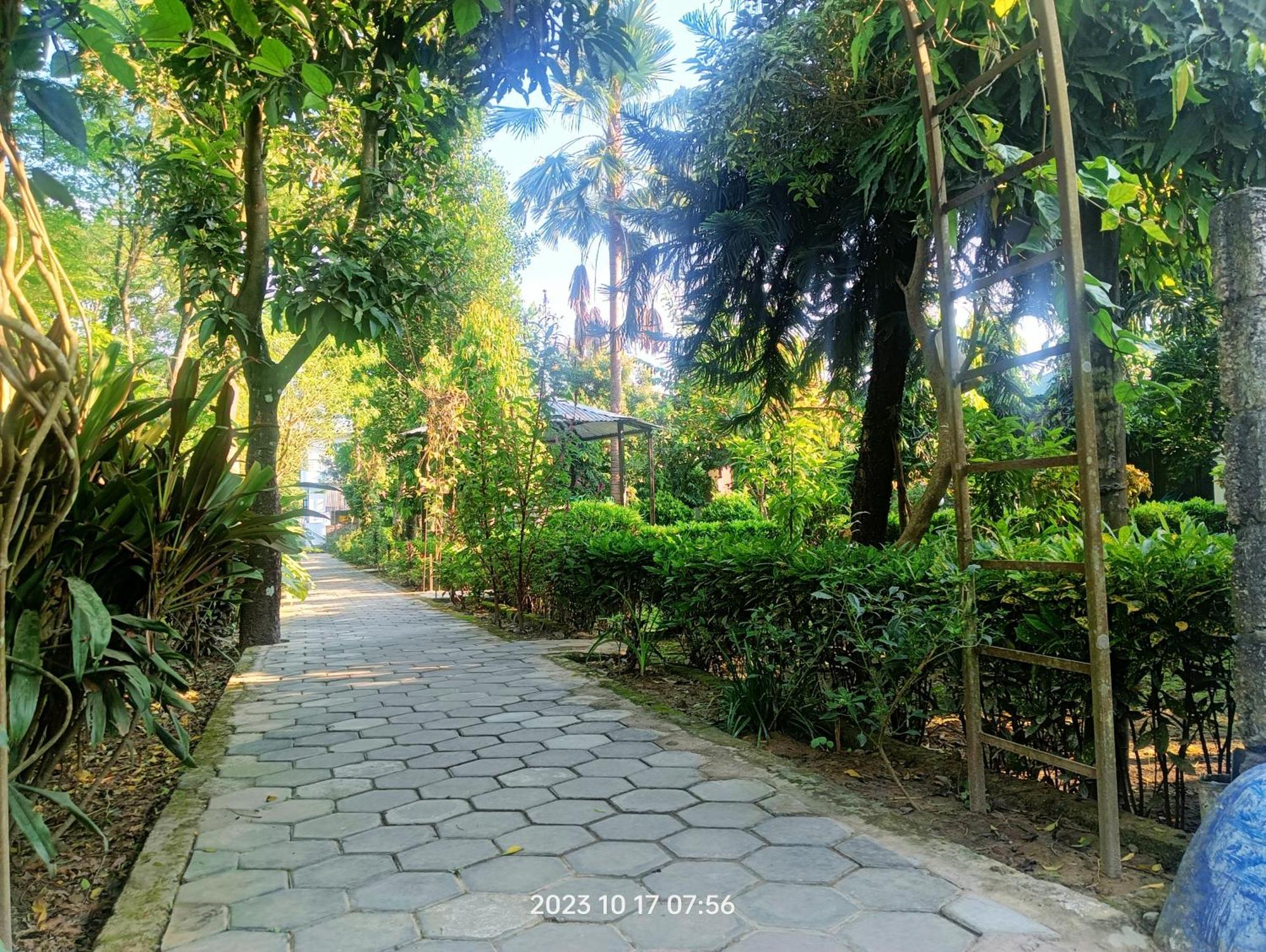 Hotel Butterfly - Peaceful Garden For Nature Lovers Sauraha Esterno foto