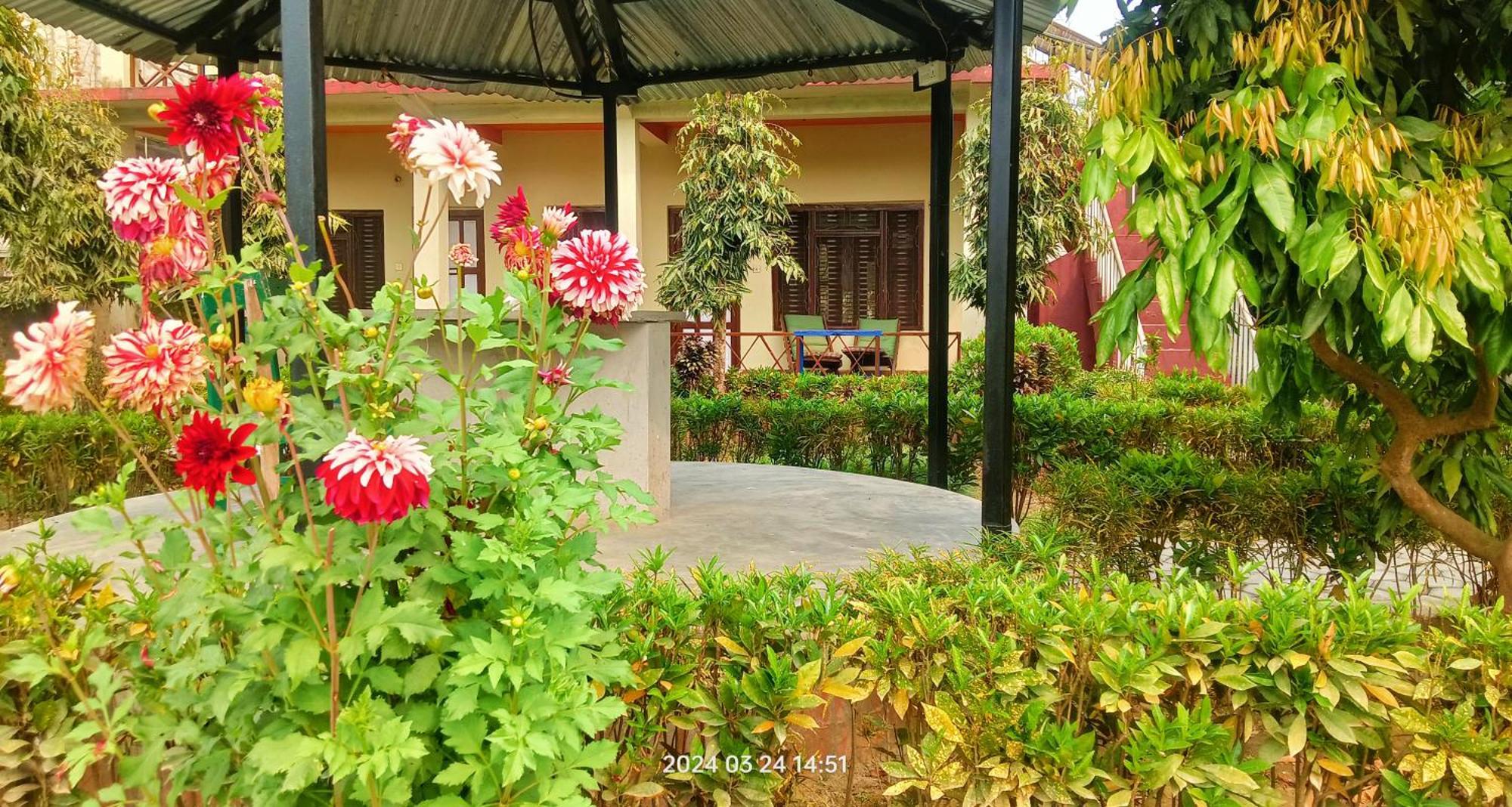 Hotel Butterfly - Peaceful Garden For Nature Lovers Sauraha Esterno foto
