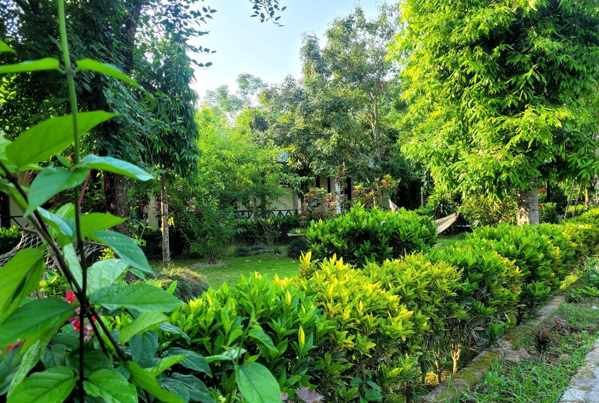 Hotel Butterfly - Peaceful Garden For Nature Lovers Sauraha Esterno foto