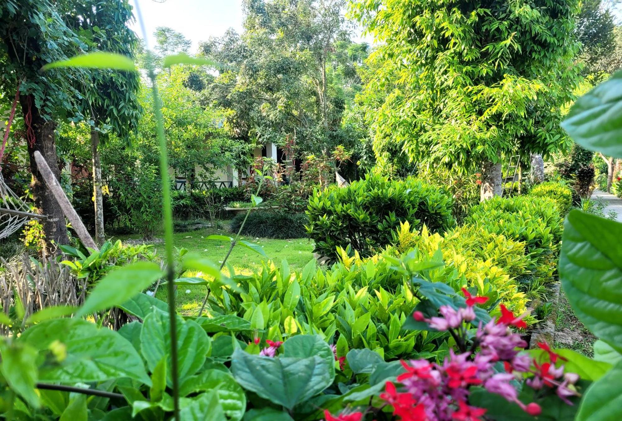 Hotel Butterfly - Peaceful Garden For Nature Lovers Sauraha Esterno foto