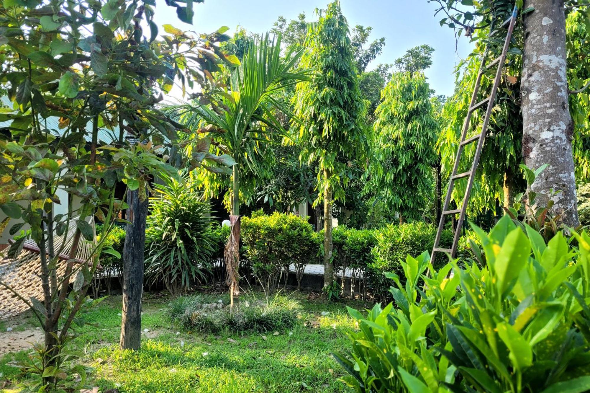 Hotel Butterfly - Peaceful Garden For Nature Lovers Sauraha Esterno foto